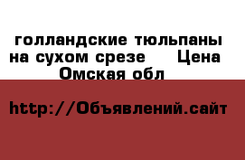  голландские тюльпаны на сухом срезе.  › Цена ­ 26 - Омская обл.  »    